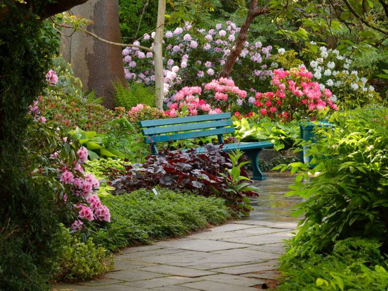 Sitzbank im Berggarten